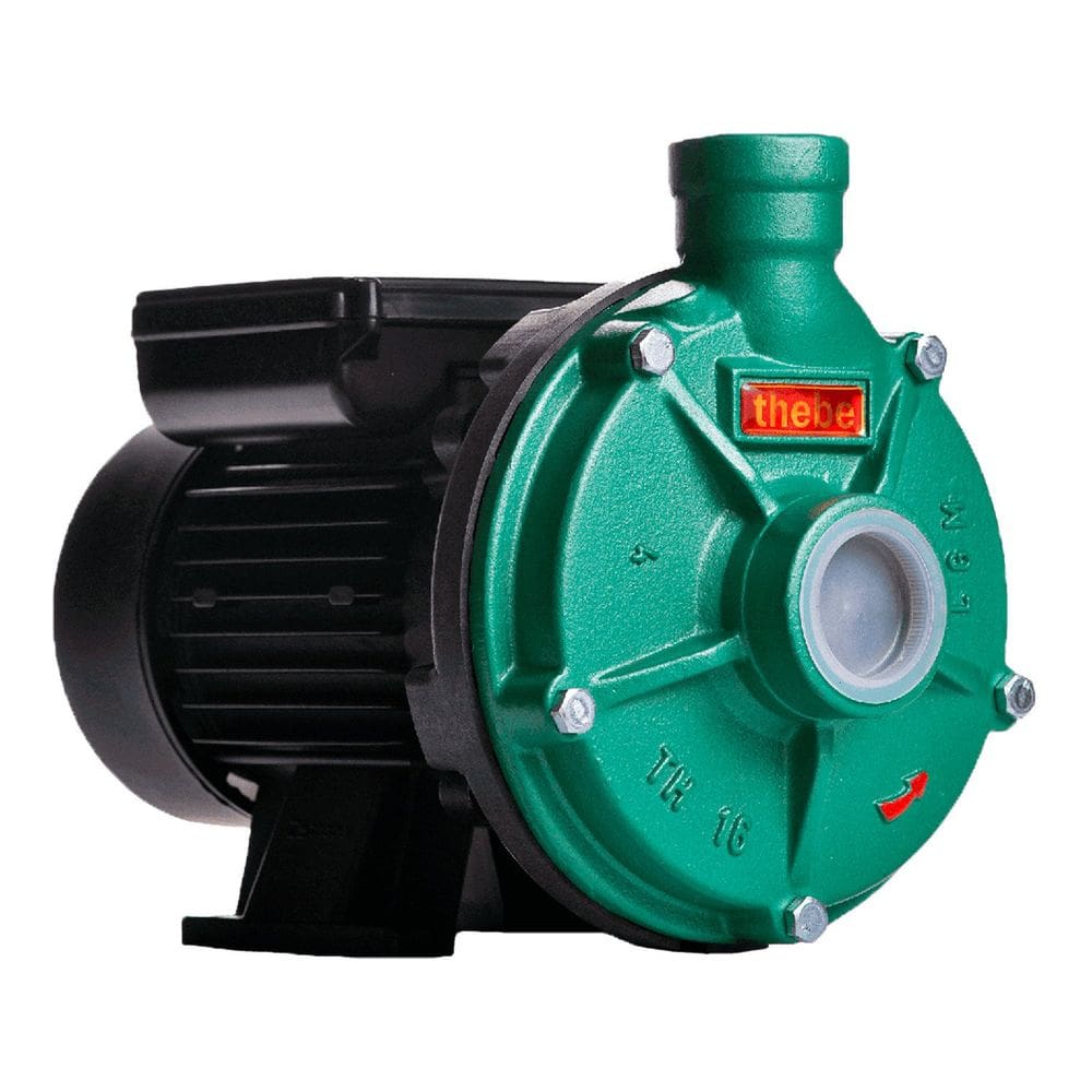 Bomba Th-16 3/4 Cv Rotor Monofásico Motor Thebe Ip55 127/220-254v