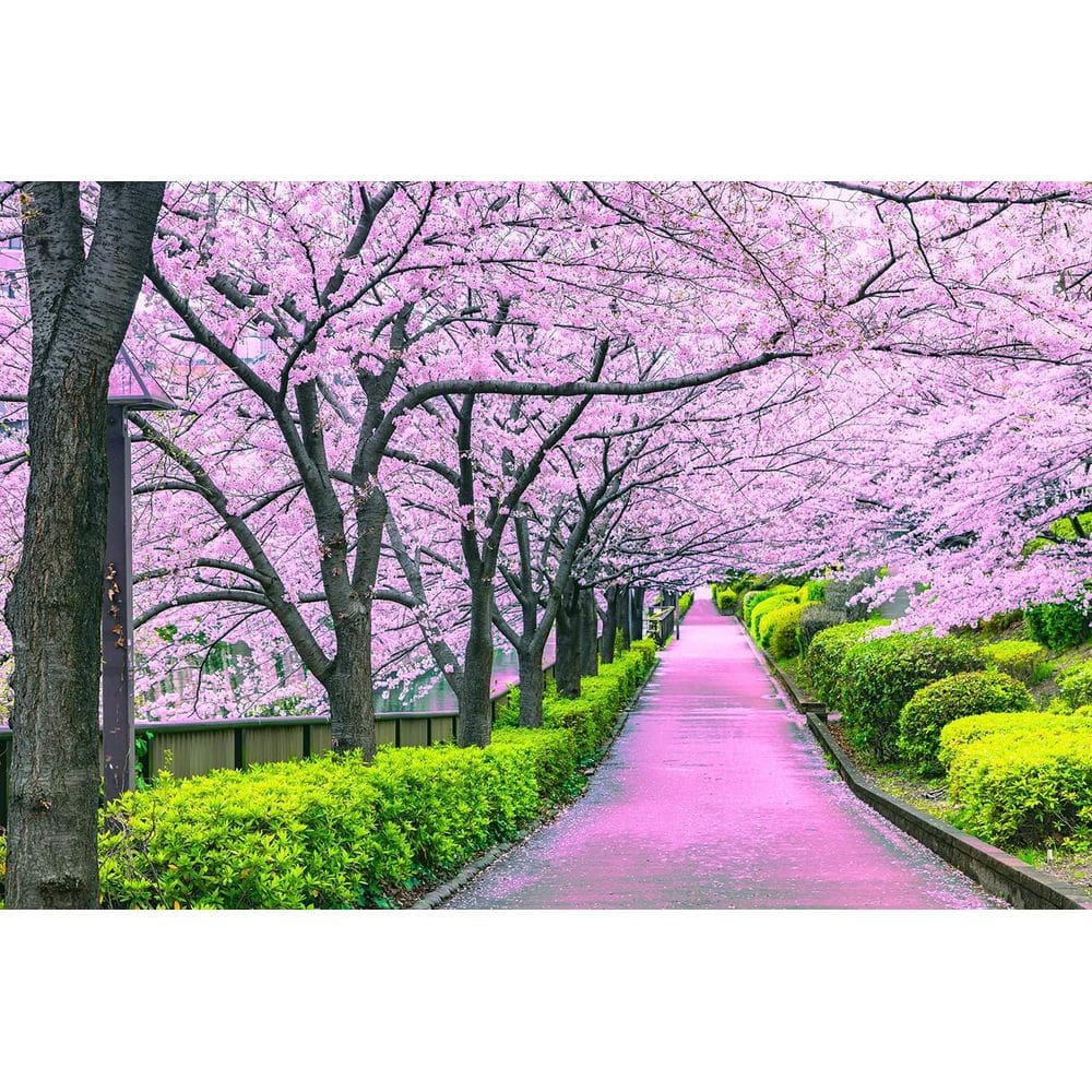 Quebra-cabeça Toynk Cherry Blossom Bliss Tokyo 1000 peças