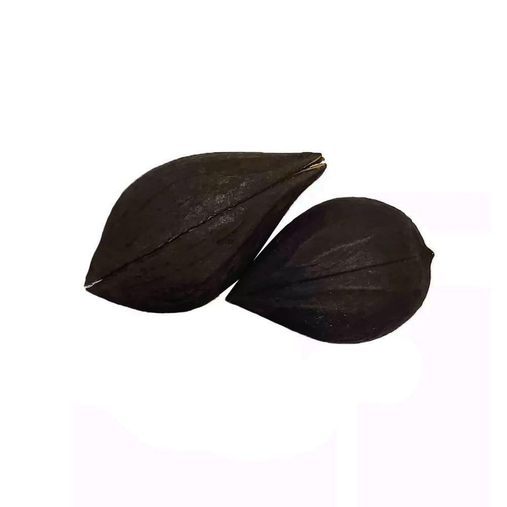 Garra De Exú Natural Para Assentamento e Ritual Unidades