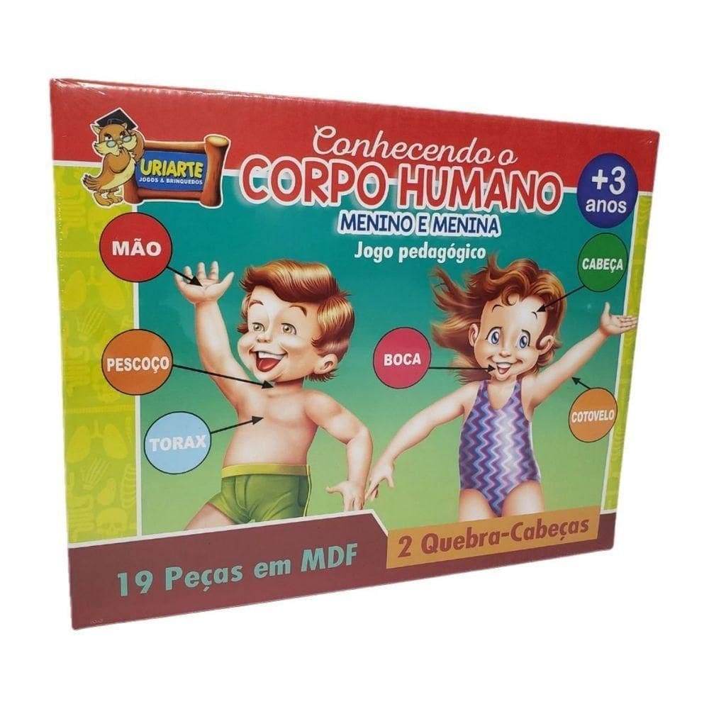 Jogo Pedagógico Conhecendo O Corpo Humano - 19 Peças