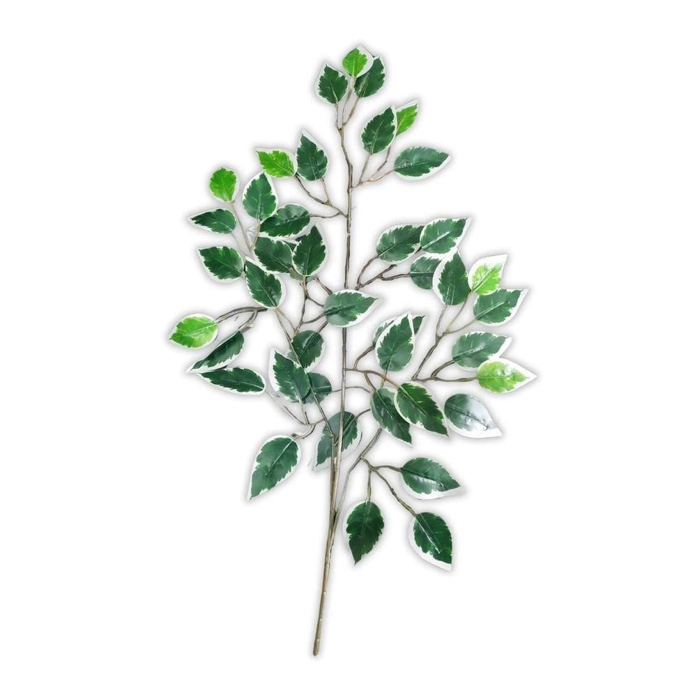 Folha Artificial Ficus Ponta Branca - 60cm