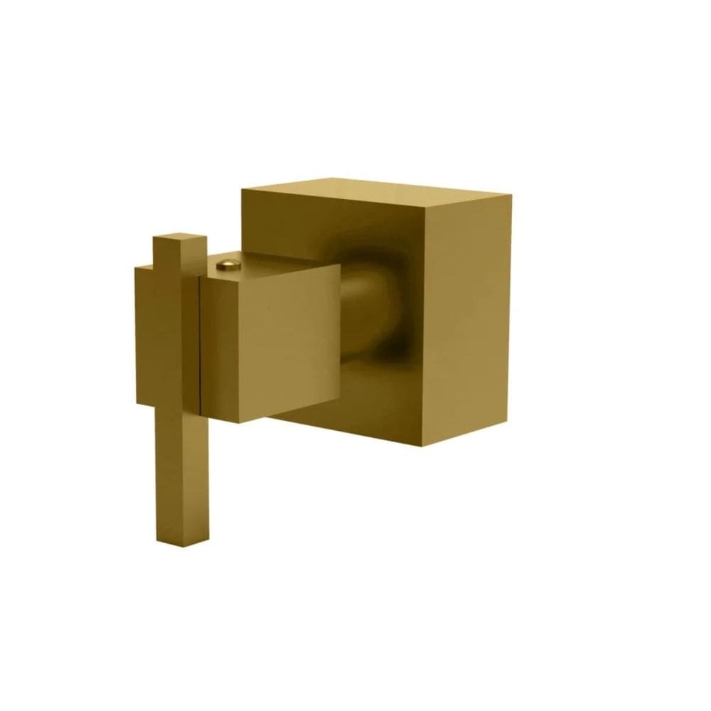 Acabamento para Registro 1.1/2 e 1.1/4 Fani Eros Dourado Fosco 509 DV640