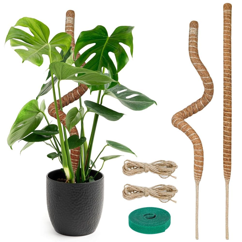 Moss Pole TLAZZ Monstera Plant Support 28 cm, pacote com 2 acessórios