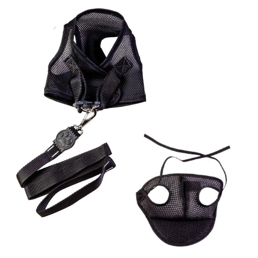 Kit Boné E Coleira Peitoral Com Guia Preto Pp