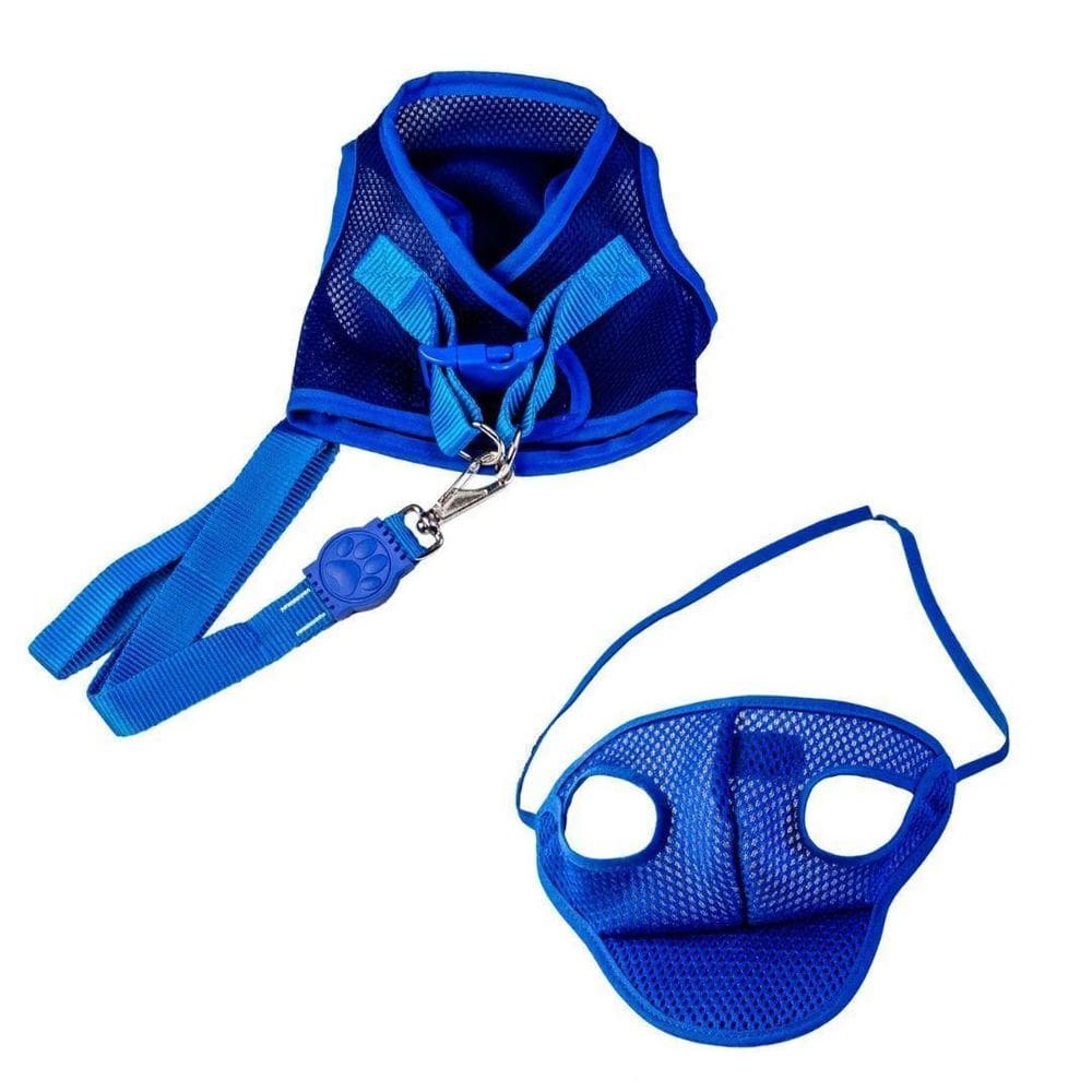 Kit Boné E Peitoral Com Guia Aerado Para Cães Azul Eg