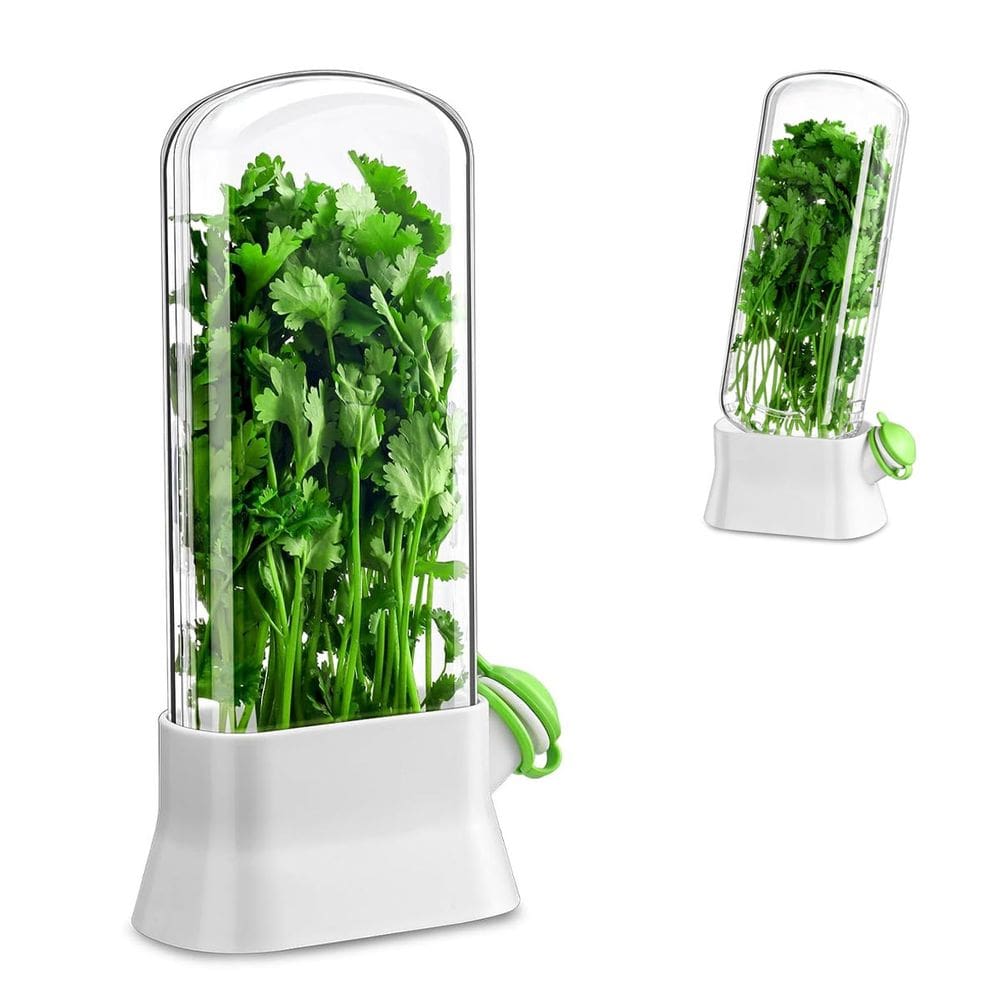 Dispenser Recipiente Ervas Frescas Armazenamento Geladeira Conserva Salsa