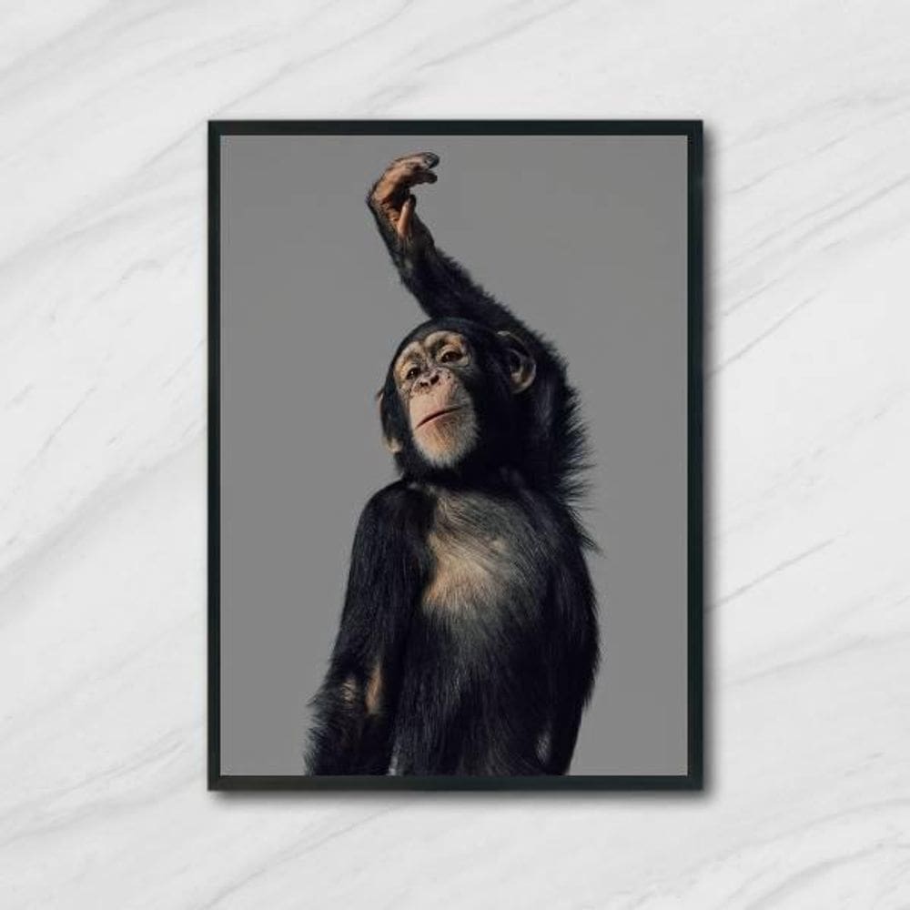 Quadro Macaco Performance 24X18Cm