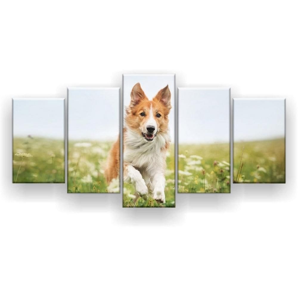 Quadro Decorativo Mosaico 5 Peças Cachorro Correndo No Jardim