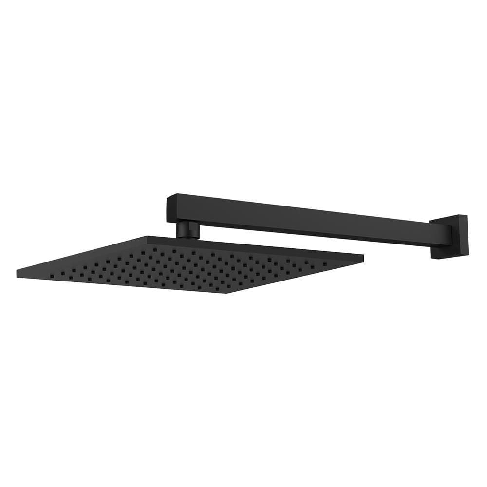 Chuveiro Articulado Platina De Parede Metal Preto Fosco Fani