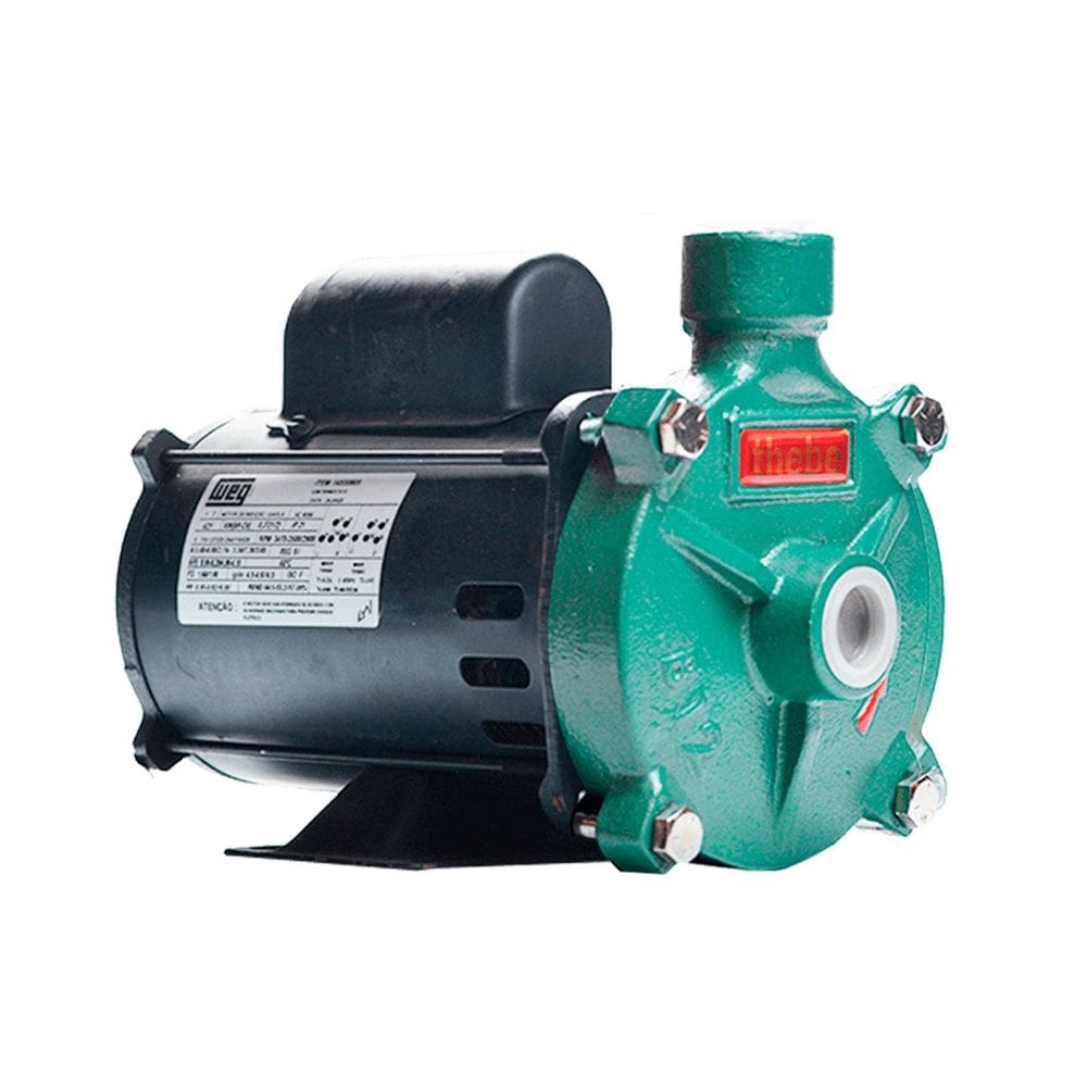 Bomba Monoestágio B-12 1/4 Cv Rotor 9,4cm Monofásico Motor Weg Ip21 127/220-254v