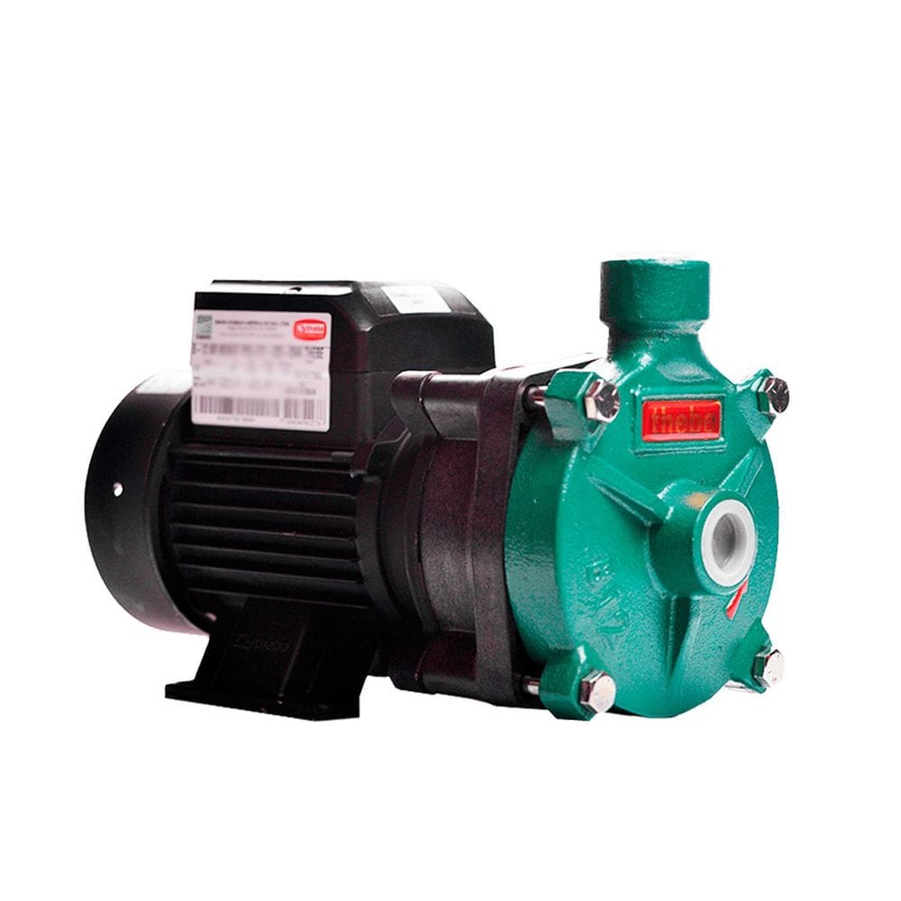 Bomba Monoestágio B-12 1/2 Cv Rotor 11,2cm Monofásico Motor Thebe Ip55 127/220-254v