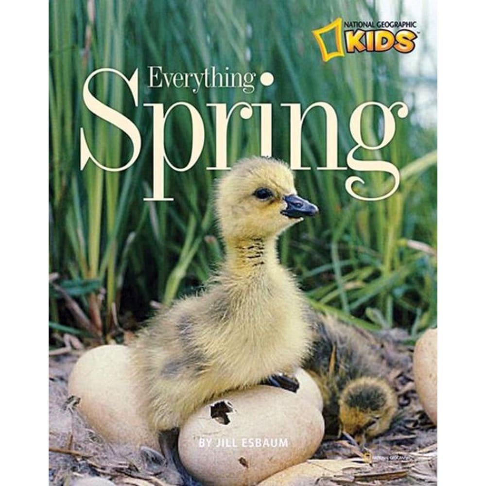 Everything Spring