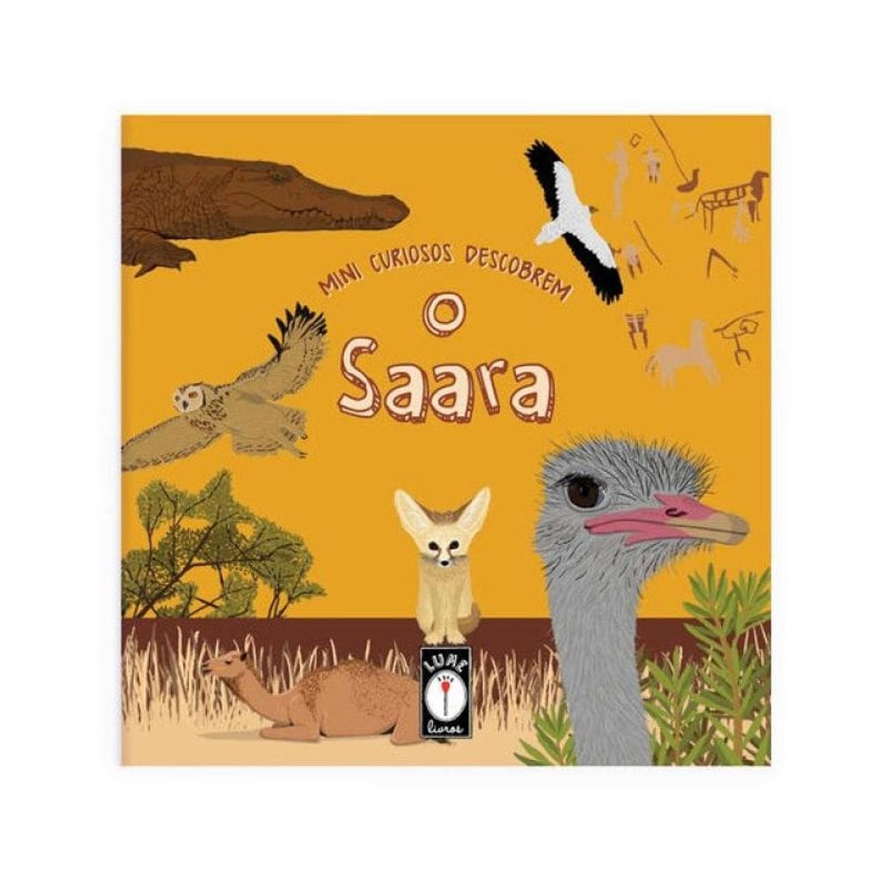 Mini Curiosos Descobrem O Saara - Vol. 7