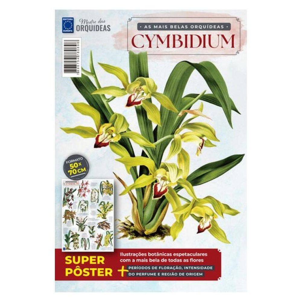 Pôster Mestre Das Orquídeas - As Mais Belas Orquídeas Cymbidium