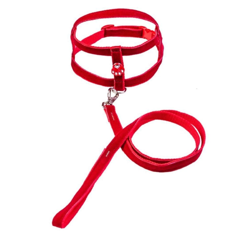 Coleira Peitoral Tradicional Com Aplique - Nº 00