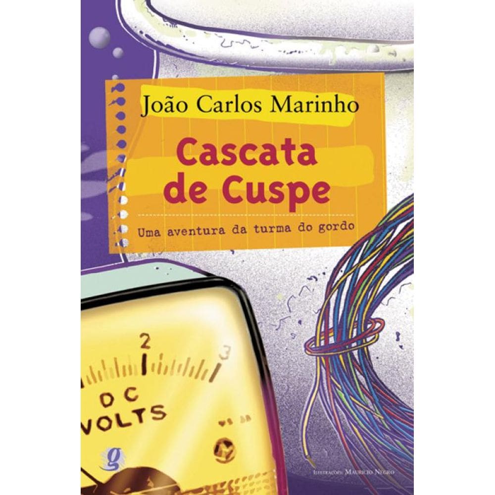 Cascata de cuspe: uma aventura da turma do gordo