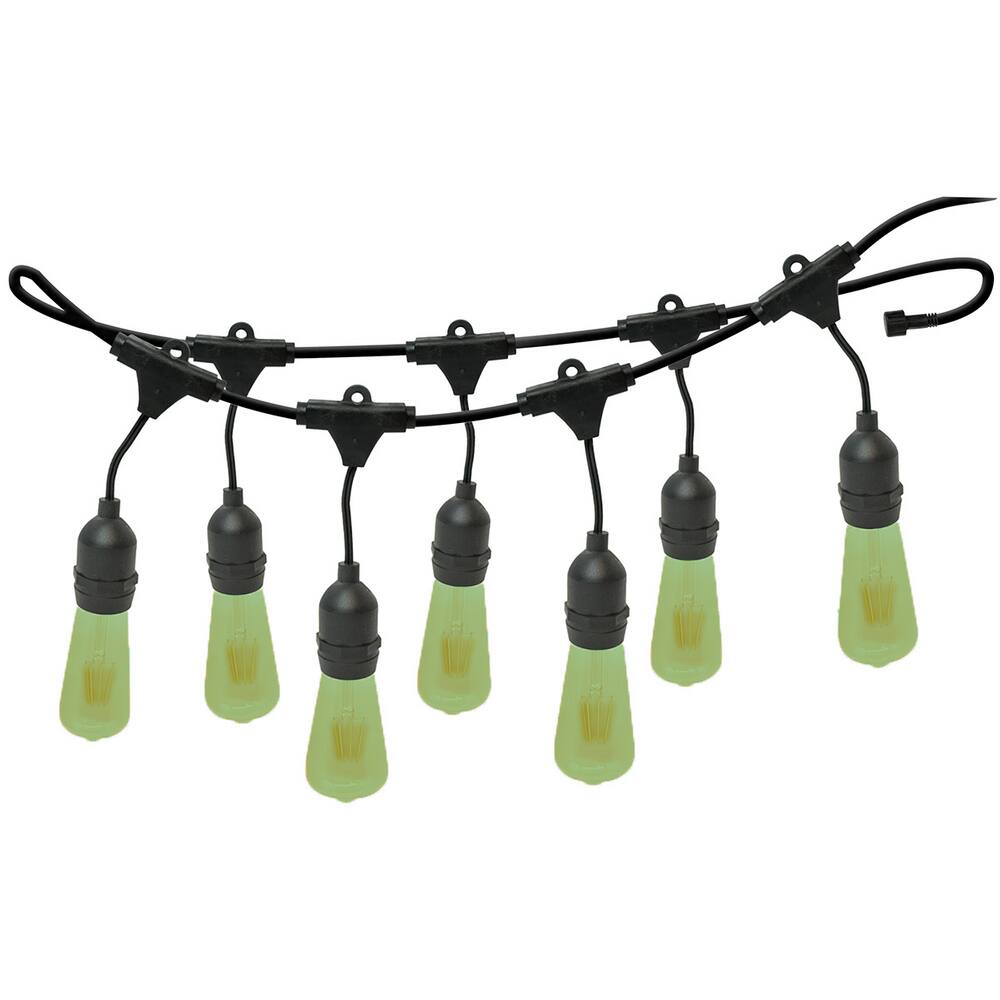 Varal de Luzes 10M Bivolt com 10 Lâmpadas Verde 220v Foxlux