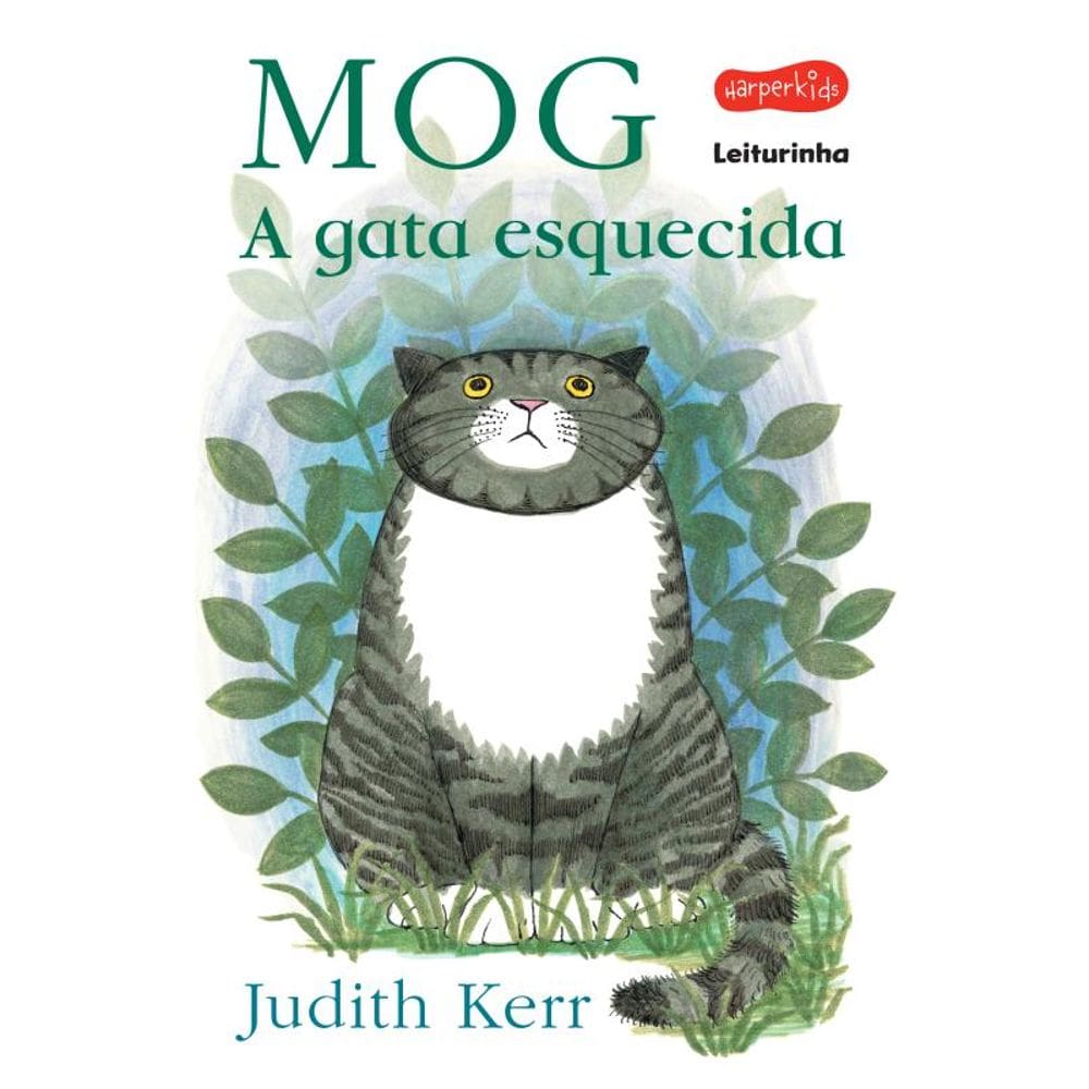 Mog - a gata esquecida