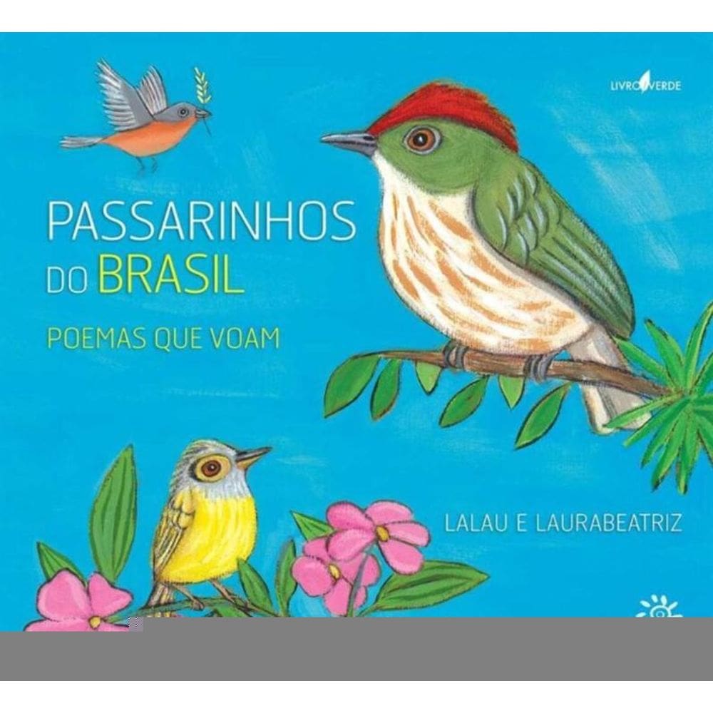 Passarinhos Do Brasil