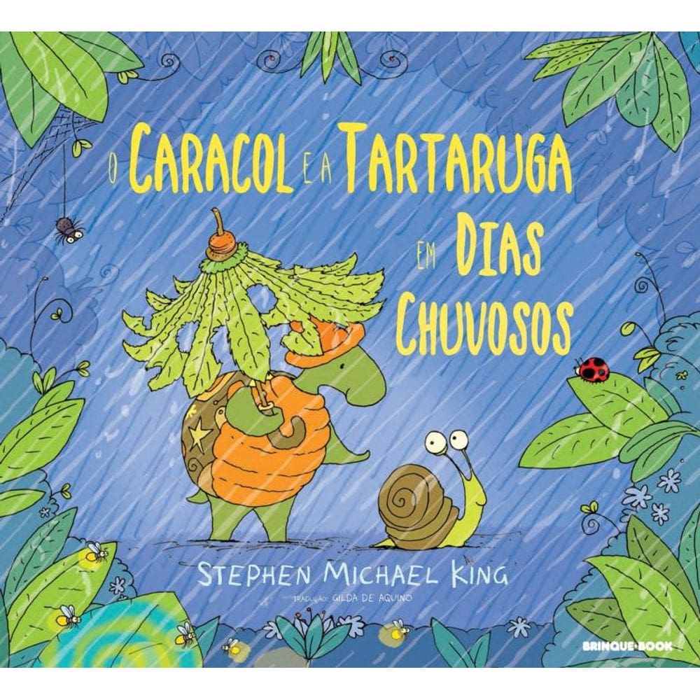 O caracol e a tartaruga em dias chuvosos