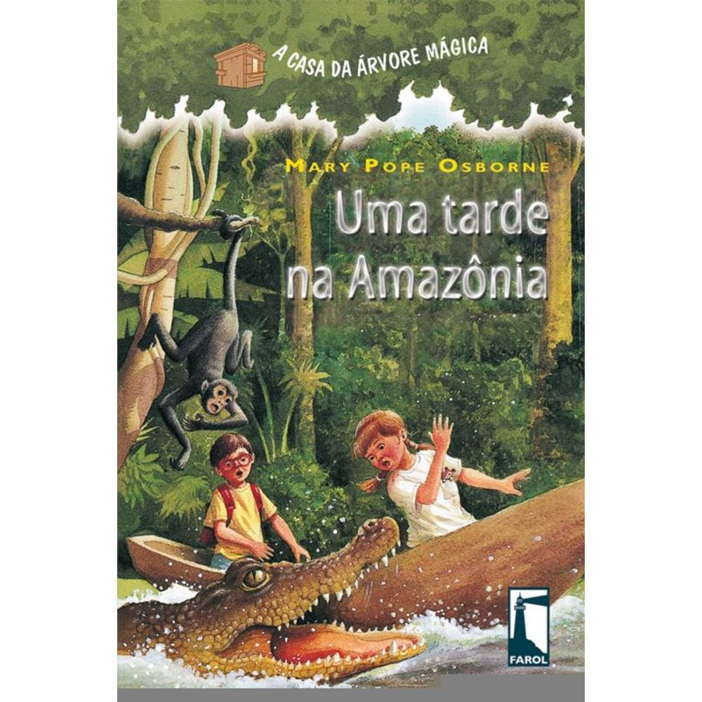 Uma tarde na Amazônia