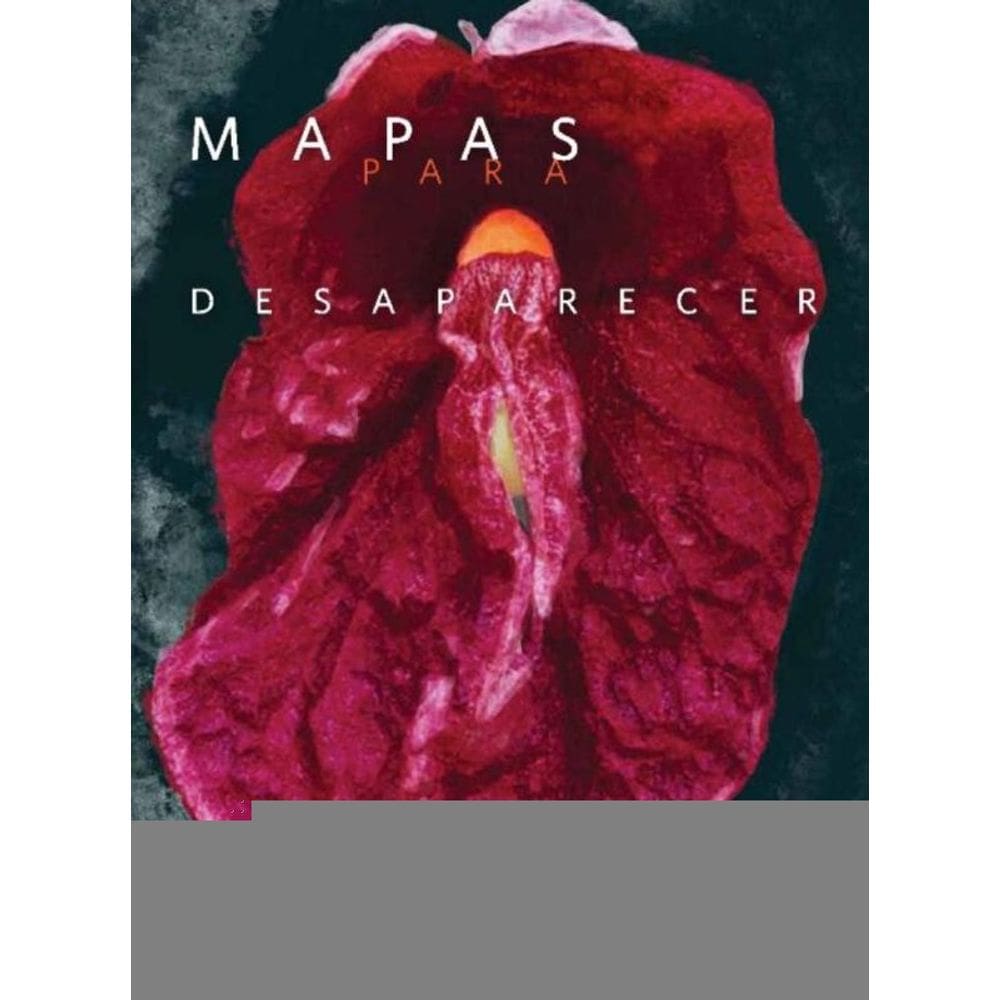 Mapas Para Desaparecer