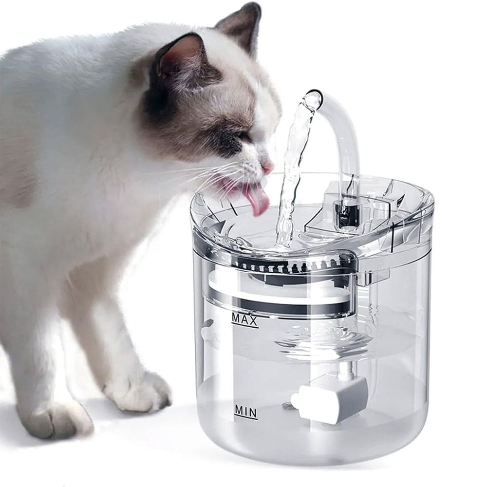 Fonte Agua Bebedouro Gato Cachorro Pet 2 Litros Usb Silencioso Reservatorio Grande Transparente