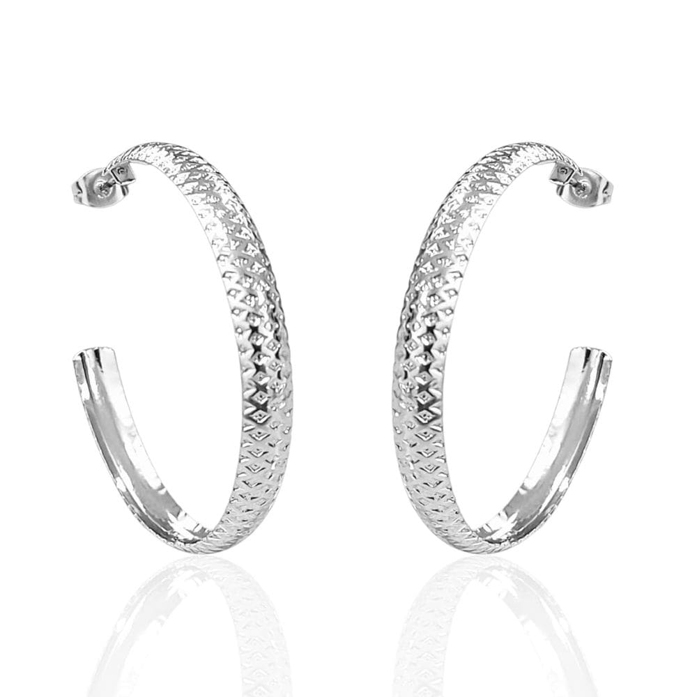 Brinco De Argola Feminina Aço Inoxidável Antialérgico Básica