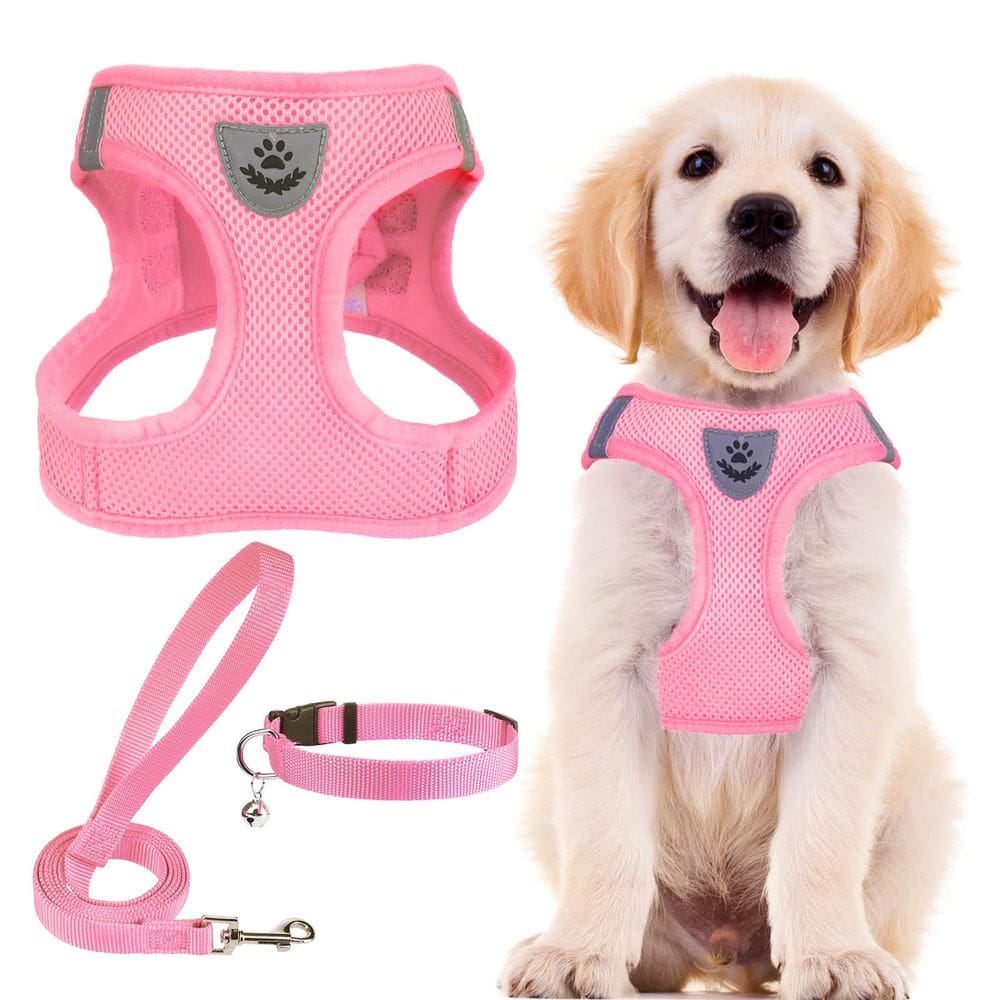 Conjunto de coleira e coleira para animais de estimação PUPTECK ajustável para cães