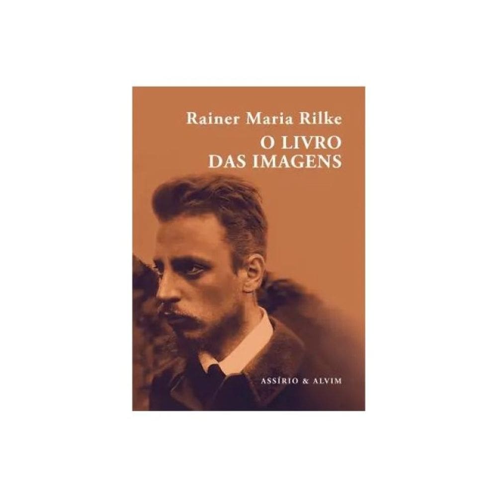 O Livro Das Imagens