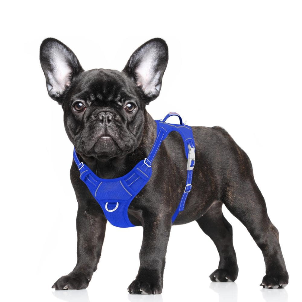 Arnês para cães BARKBAY No Pull Step-in Refletivo Grande Azul
