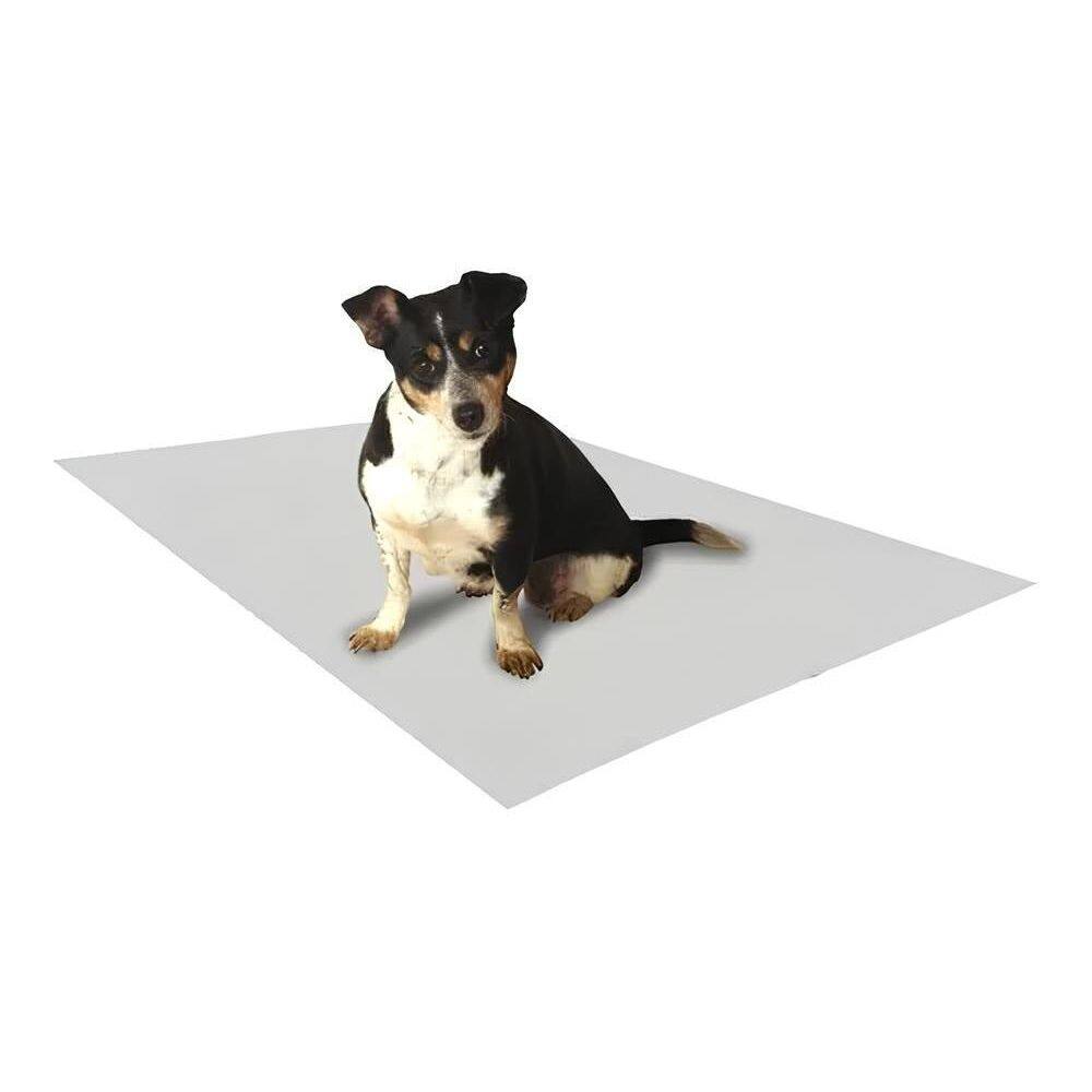Papel Strong Pipidog Hd Absorve Bem 50X60Cm Cortado 100Fls