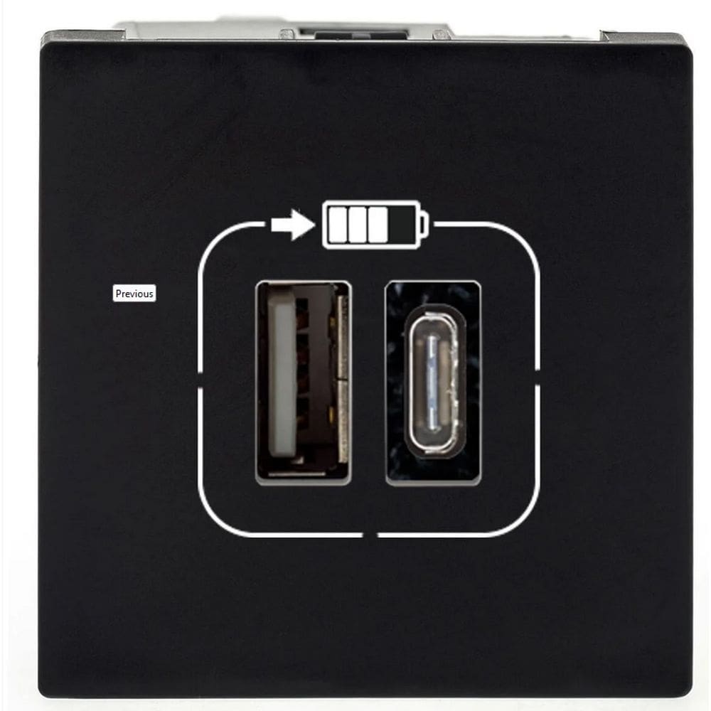 Pial Plus+ Módulo USB Duplo Tipo A+ Tipo C 3a 615095PT
