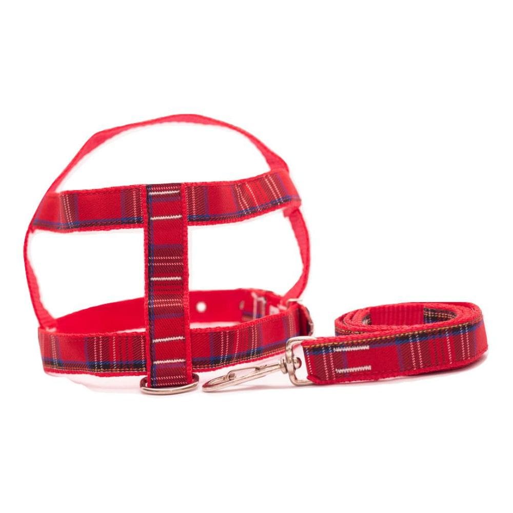 Kit Guia com peitoral 25mm vermelho tamanho 6  53cm a 70cm 