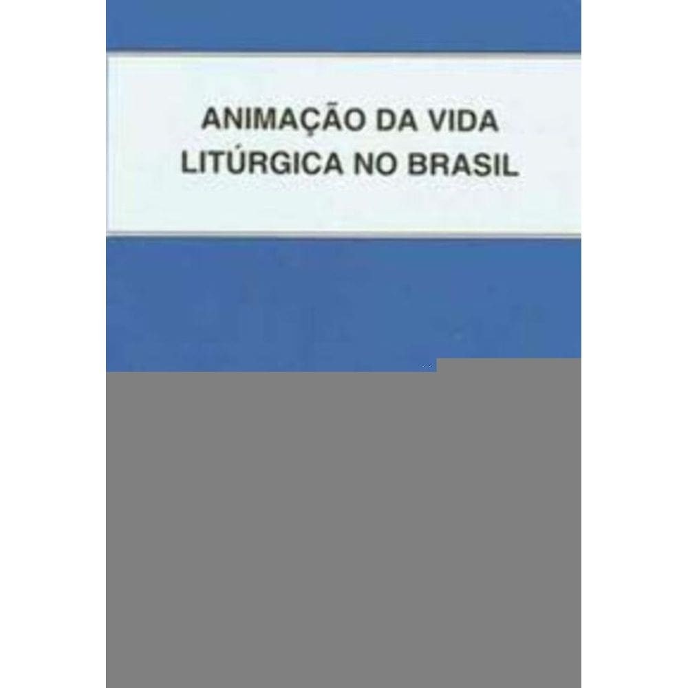 Animação Da Vida Litúrgica No Brasil - 43