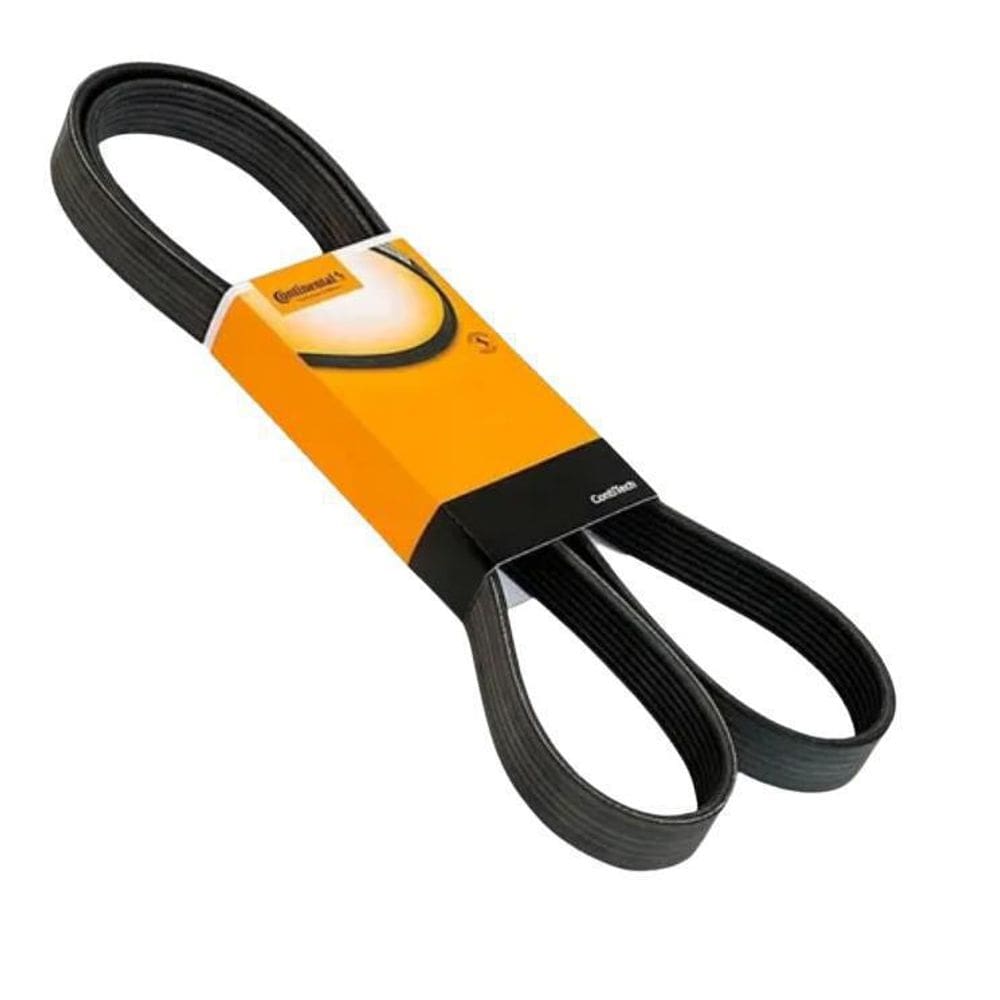 Correia Poly V Alt/Ba-Palio/Siena/Fiorino; Acd-Ducato; Boxer