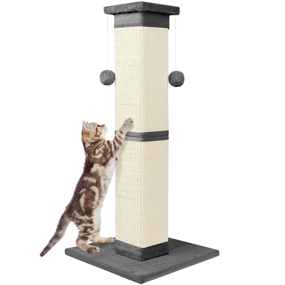 Cat Scratching Post SOCATER Nature Sisal 84 cm para gatos domésticos