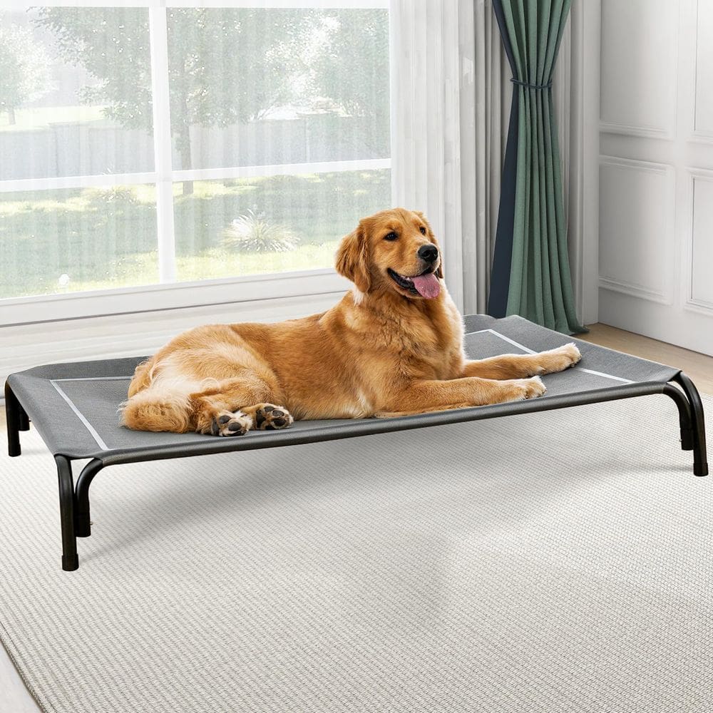 Cama elevada para cães Czpalo para cães extra grandes de até 54 kg