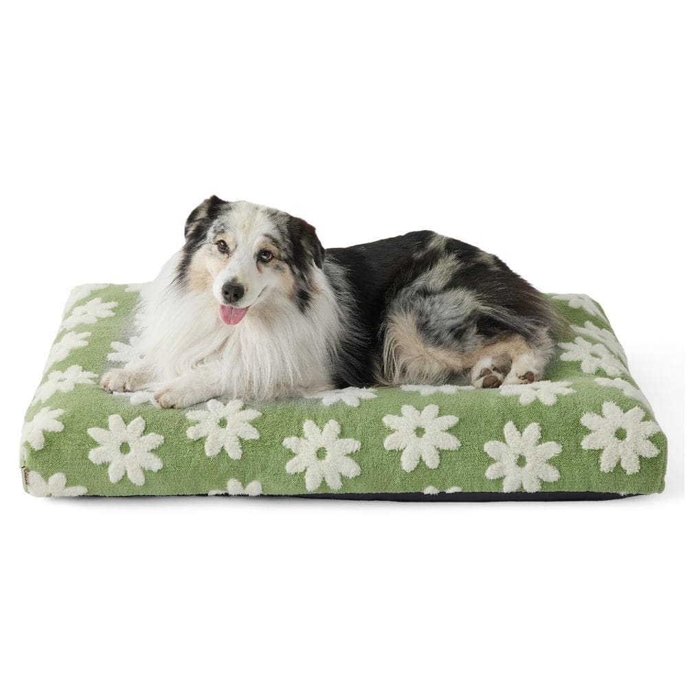 Cama para cães LE SURE Lesure XLarge Espuma Espessa com Capa Removível
