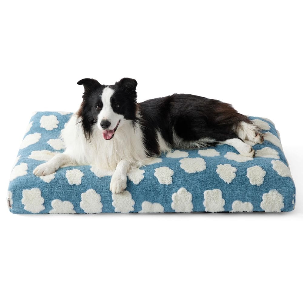 Cama para cães LE SURE Lesure de espuma grossa de tamanho grande com capa azul
