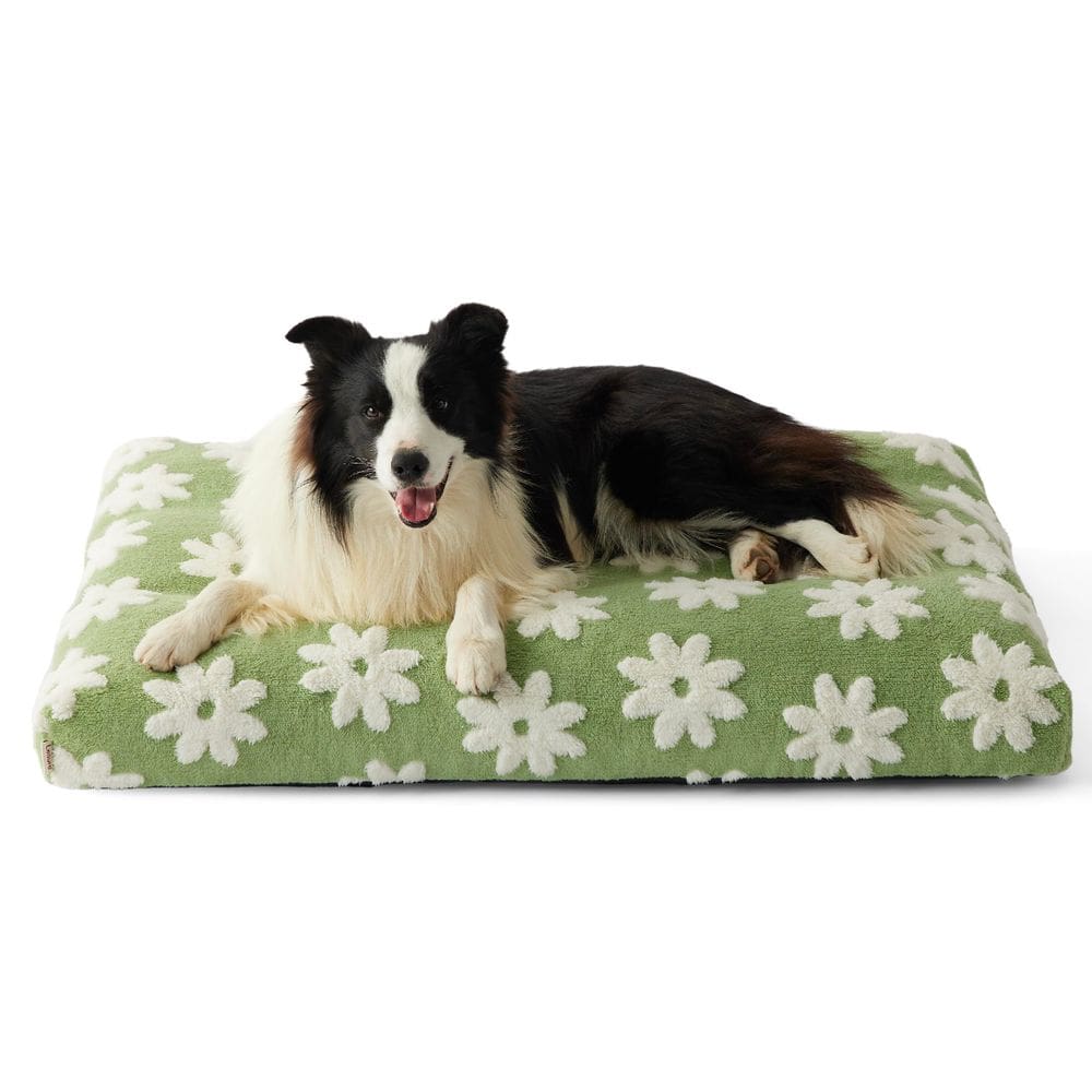 Cama para cães LE SURE Lesure de espuma grande e espessa com capa removível