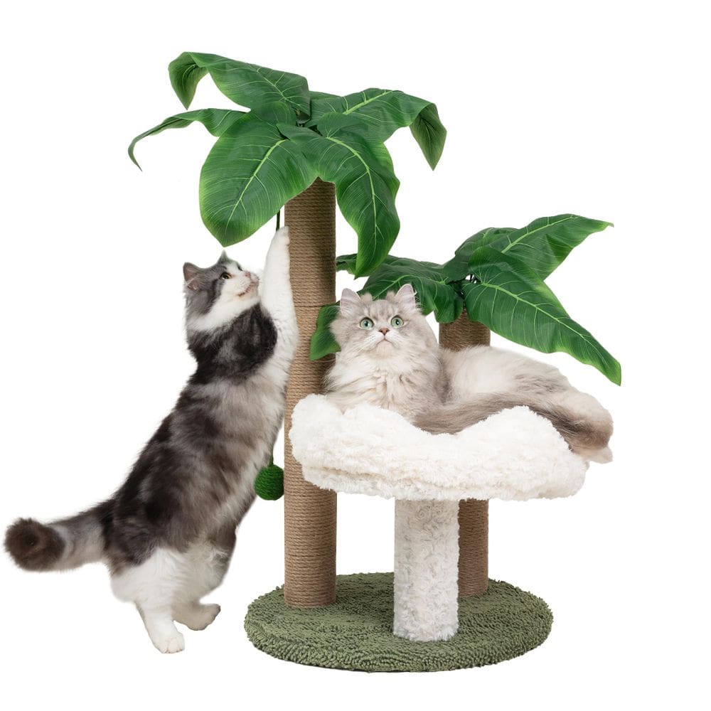 Palmeira Cat Scratching Post Meowoou com nuvem de cama para gatos