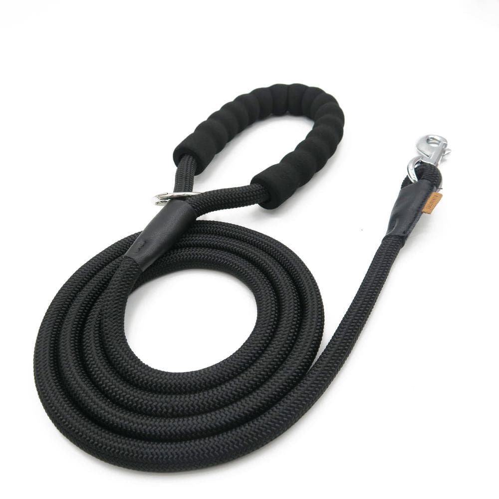 Tração de corda trançada Dog Leash Aiminto para cães de médio/grande porte