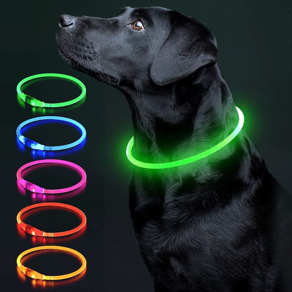 Coleira LED para cães Colaseeme USB recarregável TPU verde
