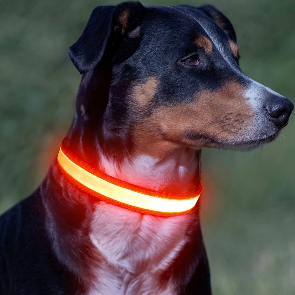 Coleira LED para cães VIZPET ajustável USB recarregável laranja