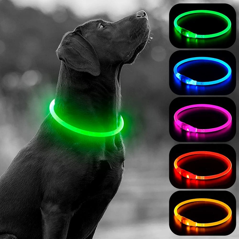 Coleira LED para cães HIGO Light Up USB recarregável verde