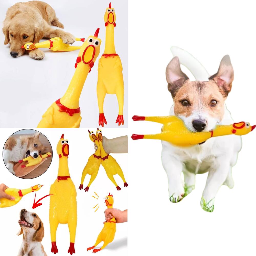 5 Mordedor Cachorros Frango Galinha Brinquedo Pets De Borracha Pequena