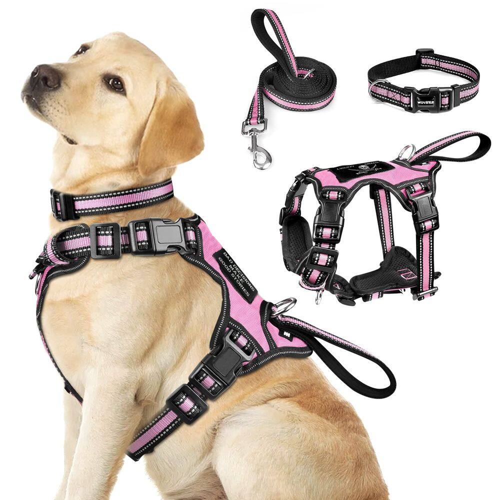 Conjunto de coleira e coleira para animais de estimação WINSEE Reflective Dog Pink