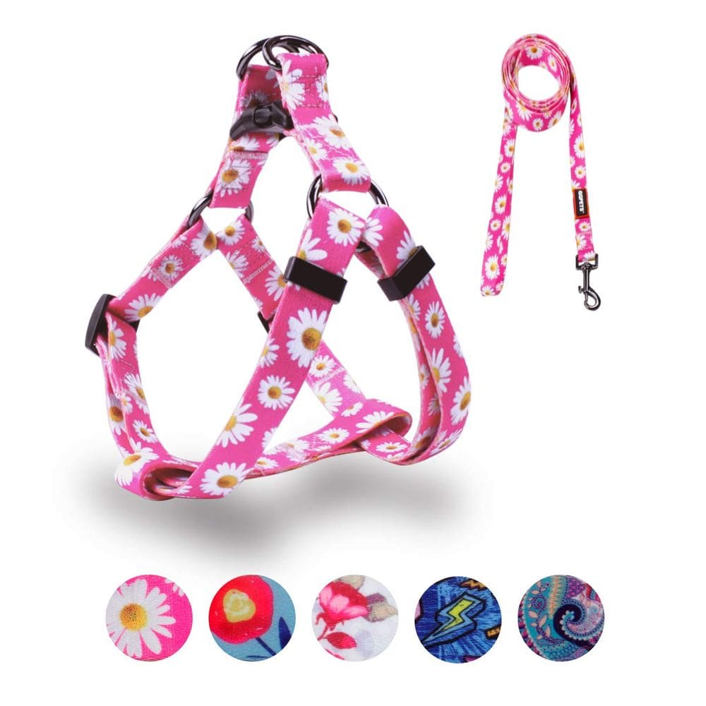 Conjunto de coleiras para cães QQPets ajustável, resistente, sem tração