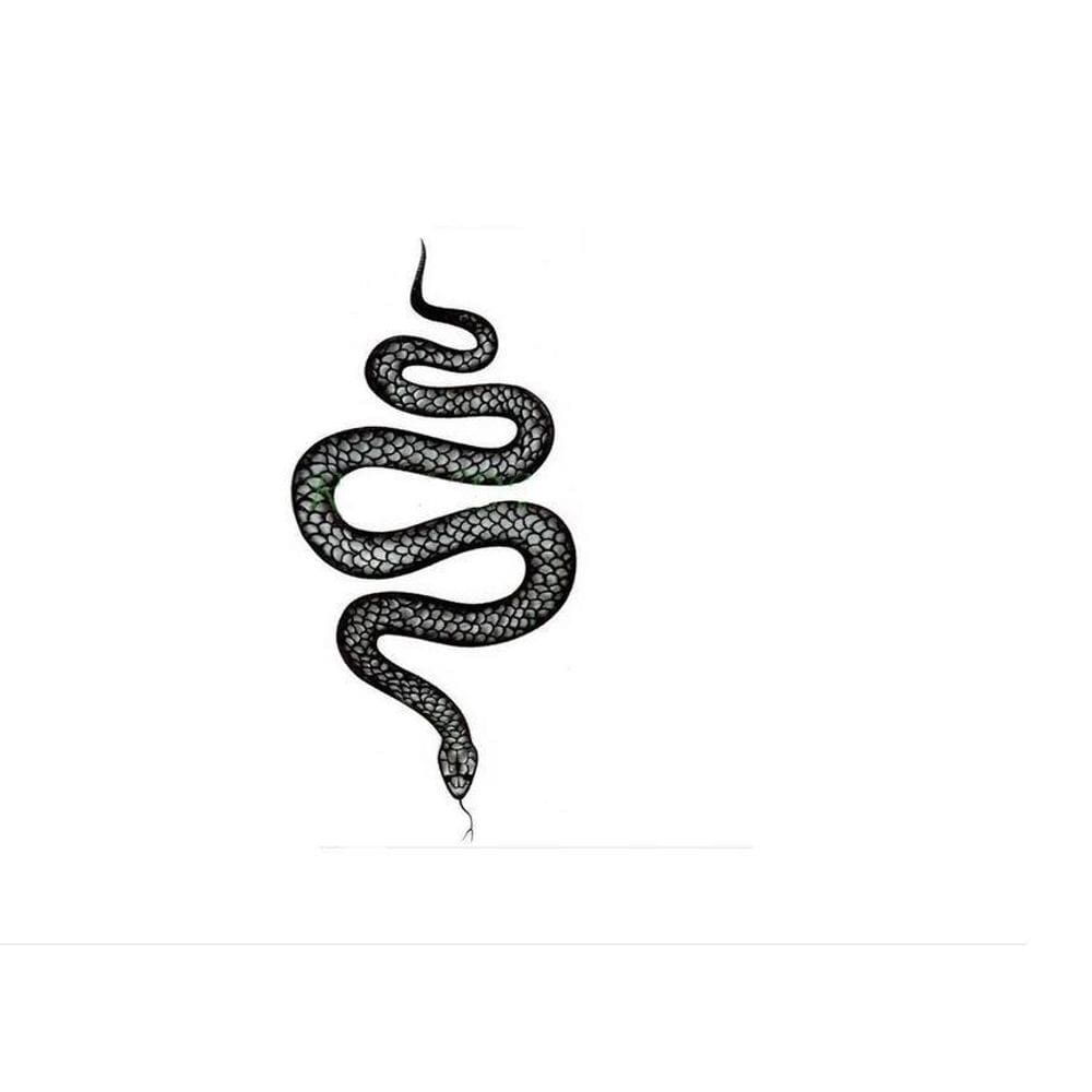 Tatuagem Temporária Delicada Cartela Serpente Cobra